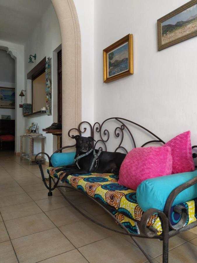 Pensionat Bellavista *